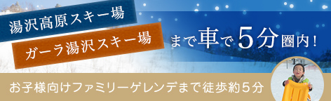 湯沢高原スキー場 ガーラ湯沢スキー場まで車で５分圏内！