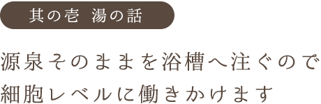 その１ 湯の話 源泉そのままを浴槽へ注ぐので 細胞レベルに働きかけます